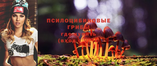 спиды Алексеевка